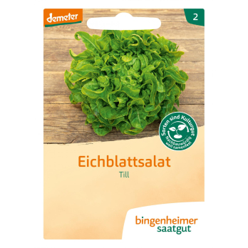 Eichblattsalat grün Till