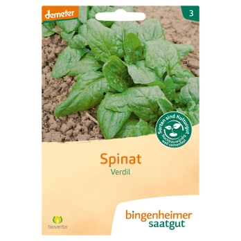Spinat Verdil/Winterriesen