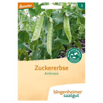 Zuckererbse Ambrosia