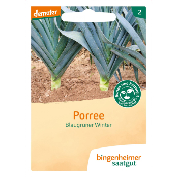 Lauch Blaugrüner Winter/Avano