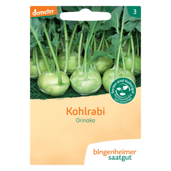 Kohlrabi weiß Orinoko