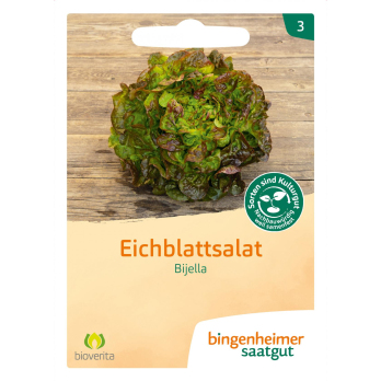 Eichblattsalat rot Bijella