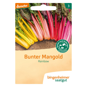 Mangold bunt Rainbow