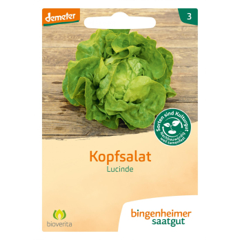 Kopfsalat Lucinde