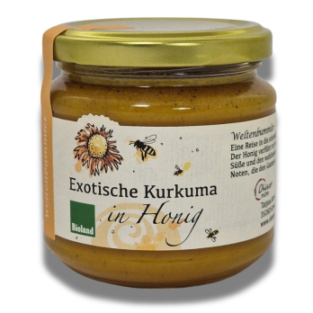 Kurkuma in Honig - Weltenbummler