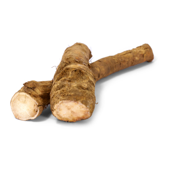 Meerrettich - frisch